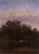 Blooming Elderberry Hedge in the Moonlight, Carl Gustav Carus
